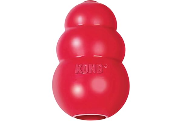 KONG Classic Dog Toy