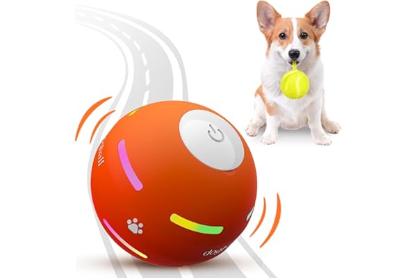 PetDroid Interactive Ball